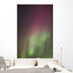 Northern Lights, Edmonton, Alberta, Canada Wall Mural