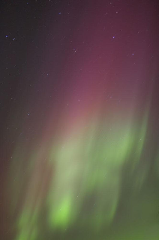 Northern Lights, Edmonton, Alberta, Canada Wall Mural