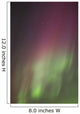 Northern Lights, Edmonton, Alberta, Canada Wall Mural