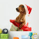 Dachshund Wearing A Santa Hat Wall Decal