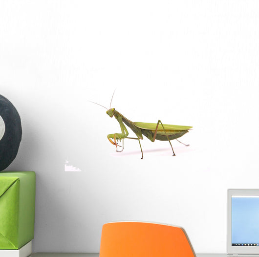 Praying mantis Wall Decal