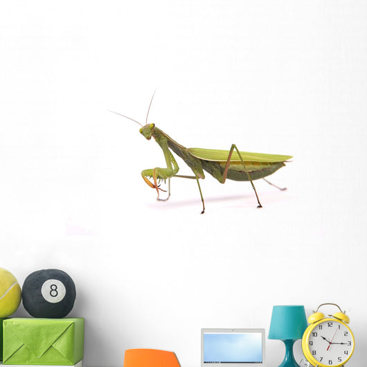 Praying mantis Wall Decal