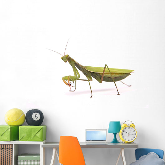Praying mantis Wall Decal