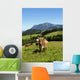 Real Cows 33 Wall Decal