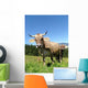 Real Cows Wall Decal Design 2