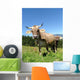 Real Cows Wall Decal Design 2