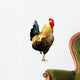 Colorful Rooster Wall Decal