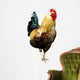 Colorful Rooster Wall Decal