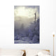 Snow Covered Trees, Vancouver, British Columbia, Canada Wall Mural