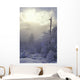 Snow Covered Trees, Vancouver, British Columbia, Canada Wall Mural