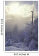 Snow Covered Trees, Vancouver, British Columbia, Canada Wall Mural