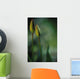 Closed Tulips Wall Mural