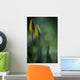 Closed Tulips Wall Mural