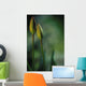 Closed Tulips Wall Mural
