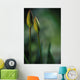 Closed Tulips Wall Mural