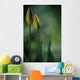 Closed Tulips Wall Mural