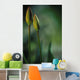 Closed Tulips Wall Mural