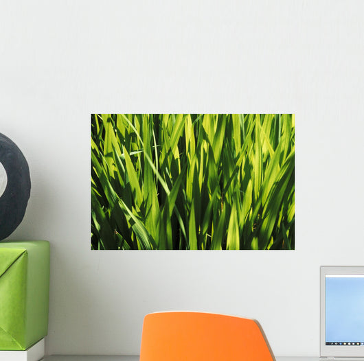 Mass Of Plant Leaves Wall Mural