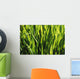 Mass Of Plant Leaves Wall Mural