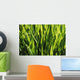Mass Of Plant Leaves Wall Mural