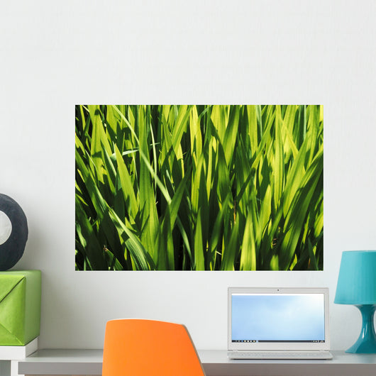 Mass Of Plant Leaves Wall Mural