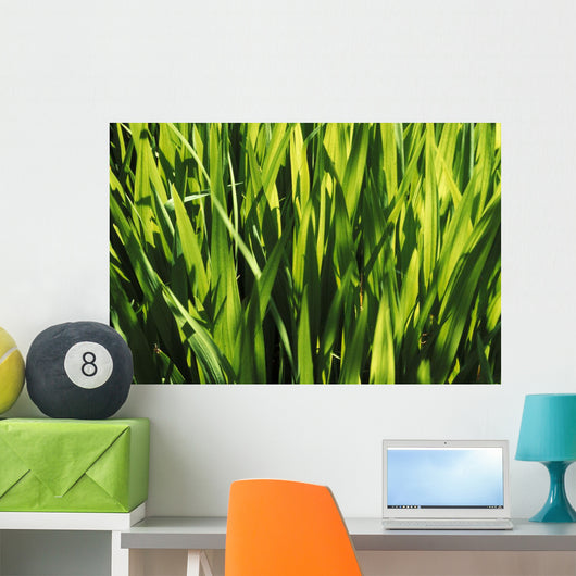 Mass Of Plant Leaves Wall Mural