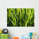 Mass Of Plant Leaves Wall Mural