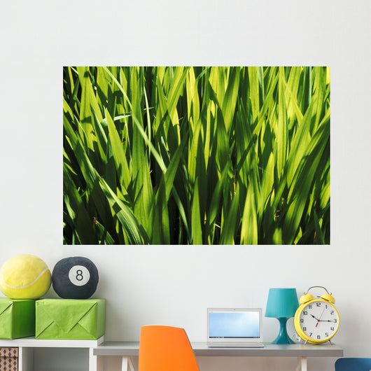 Mass Of Plant Leaves Wall Mural