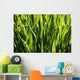 Mass Of Plant Leaves Wall Mural