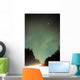 Northern Lights Wall Mural