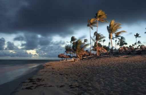 Strand Am Morgen Wall Decal