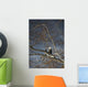Bald Eagle In A Tree Wall Mural