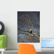 Bald Eagle In A Tree Wall Mural