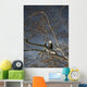 Bald Eagle In A Tree Wall Mural