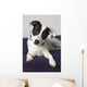 Small Black And White Dog Wall Mural
