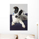 Small Black And White Dog Wall Mural
