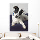Small Black And White Dog Wall Mural
