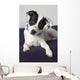 Small Black And White Dog Wall Mural