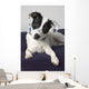 Small Black And White Dog Wall Mural