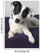 Small Black And White Dog Wall Mural