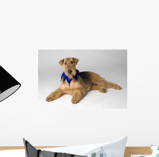 Pedigree Dog Wall Mural