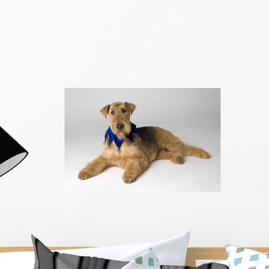 Pedigree Dog Wall Mural