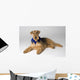 Pedigree Dog Wall Mural