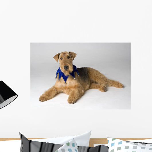 Pedigree Dog Wall Mural