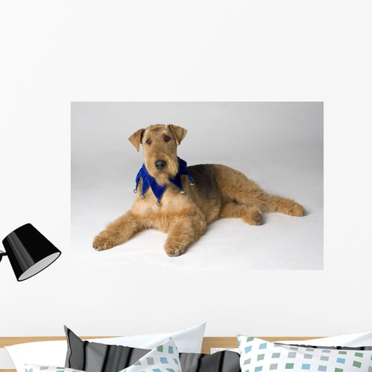 Pedigree Dog Wall Mural