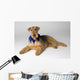 Pedigree Dog Wall Mural