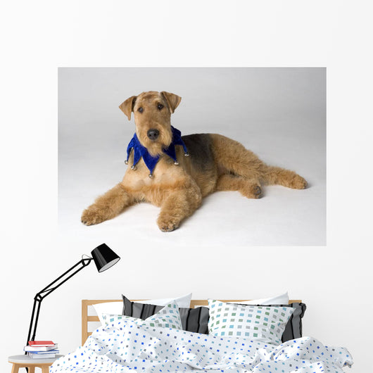 Pedigree Dog Wall Mural