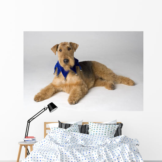 Pedigree Dog Wall Mural