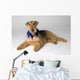Pedigree Dog Wall Mural