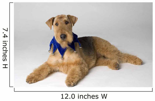 Pedigree Dog Wall Mural